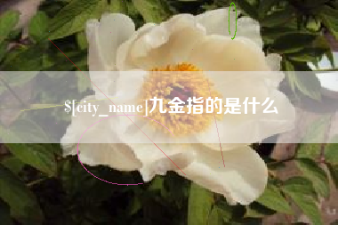 海丰九金指的是什么