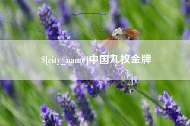 海丰中国九枚金牌