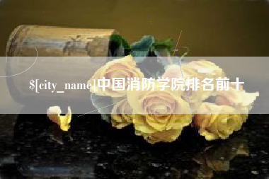 海丰中国消防学院排名前十