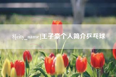海丰王子豪个人简介乒乓球
