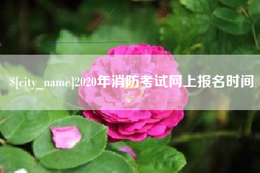 海丰2020年消防考试网上报名时间