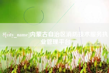 海丰内蒙古自治区消防技术服务执业管理平台