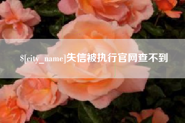 海丰失信被执行官网查不到