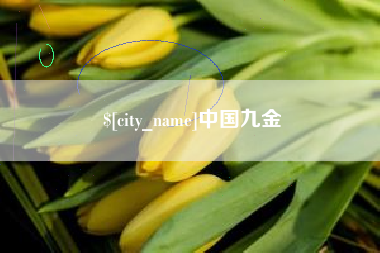 海丰中国九金