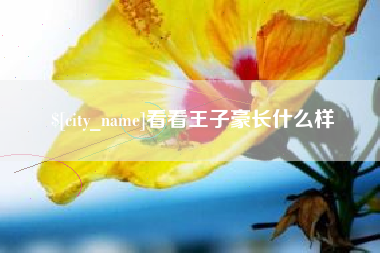 海丰看看王子豪长什么样