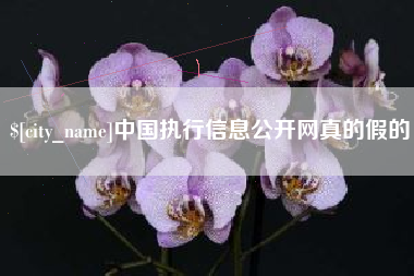 海丰中国执行信息公开网真的假的
