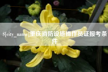 海丰重庆消防设施操作员证报考条件