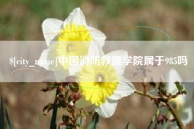 海丰中国消防救援学院属于985吗
