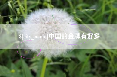 海丰中国的金牌有好多