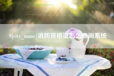 海丰消防资格证怎么查询系统