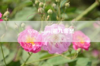 海丰第九金是