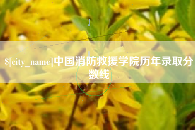 海丰中国消防救援学院历年录取分数线