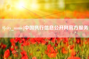 海丰中国执行信息公开网官方服务