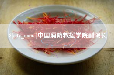 海丰中国消防救援学院副院长
