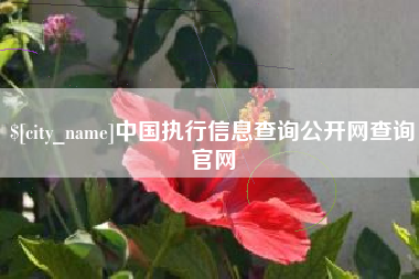 海丰中国执行信息查询公开网查询官网