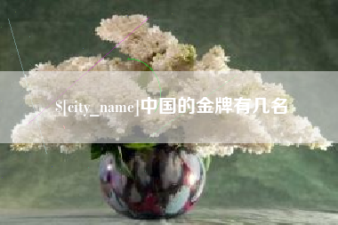 海丰中国的金牌有几名