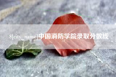 海丰中国消防学院录取分数线