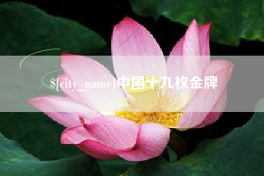 海丰中国十九枚金牌
