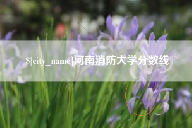 海丰河南消防大学分数线