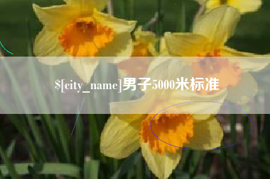 海丰男子5000米标准