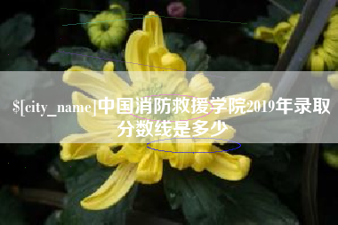 海丰中国消防救援学院2019年录取分数线是多少