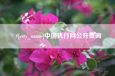 海丰中国执行网公开查询