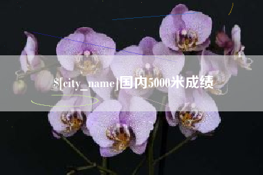 海丰国内5000米成绩