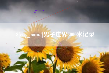 海丰男子世界5000米记录