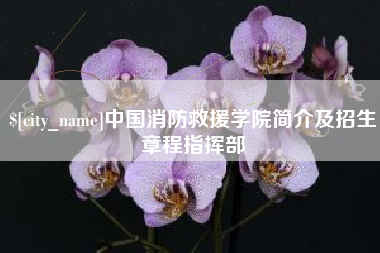 海丰中国消防救援学院简介及招生章程指挥部