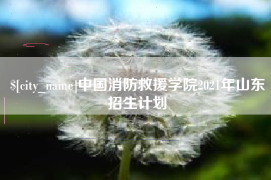 海丰中国消防救援学院2021年山东招生计划