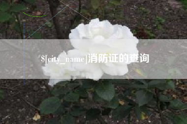 海丰消防证的查询