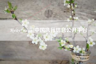 海丰中国执行信息公开平台