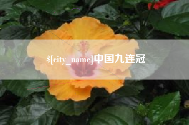 海丰中国九连冠