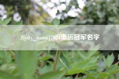 海丰2024奥运冠军名字