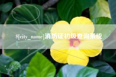 海丰消防证初级查询系统
