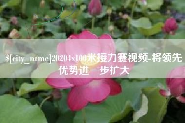 海丰20204x100米接力赛视频-将领先优势进一步扩大