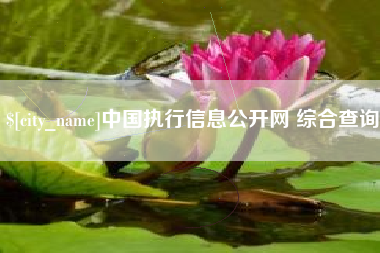 海丰中国执行信息公开网 综合查询