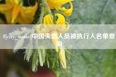 海丰中国失信人员被执行人名单查询