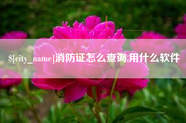 海丰消防证怎么查询,用什么软件