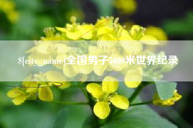 海丰全国男子5000米世界纪录