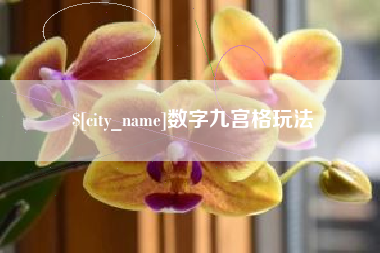 海丰数字九宫格玩法