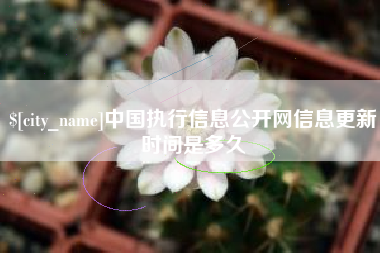 海丰中国执行信息公开网信息更新时间是多久