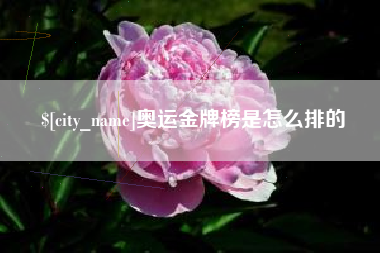 海丰奥运金牌榜是怎么排的