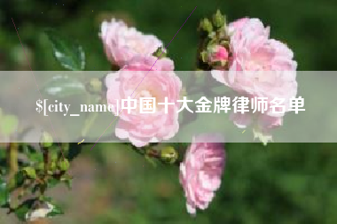 海丰中国十大金牌律师名单