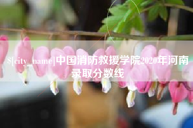 海丰中国消防救援学院2020年河南录取分数线