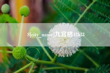 海丰九宫格42633