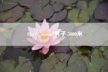 海丰男子 5000米