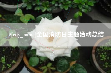 海丰全国消防日主题活动总结