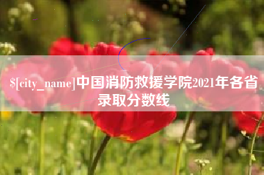 海丰中国消防救援学院2021年各省录取分数线