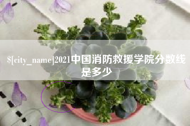 海丰2021中国消防救援学院分数线是多少